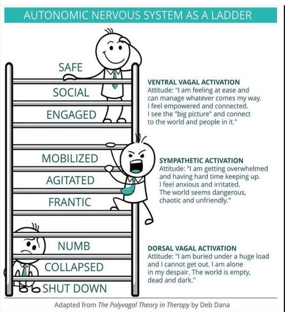 Safe and Sound Protocol