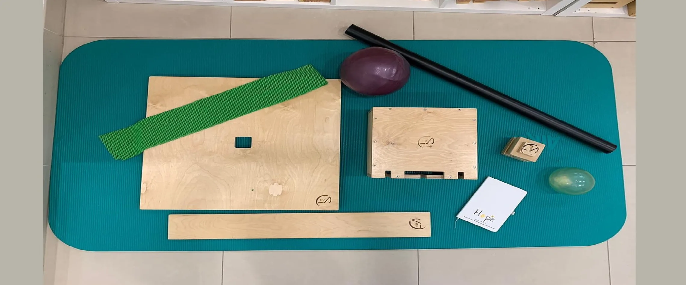 Cuevas Medek Exercises (CME)®
