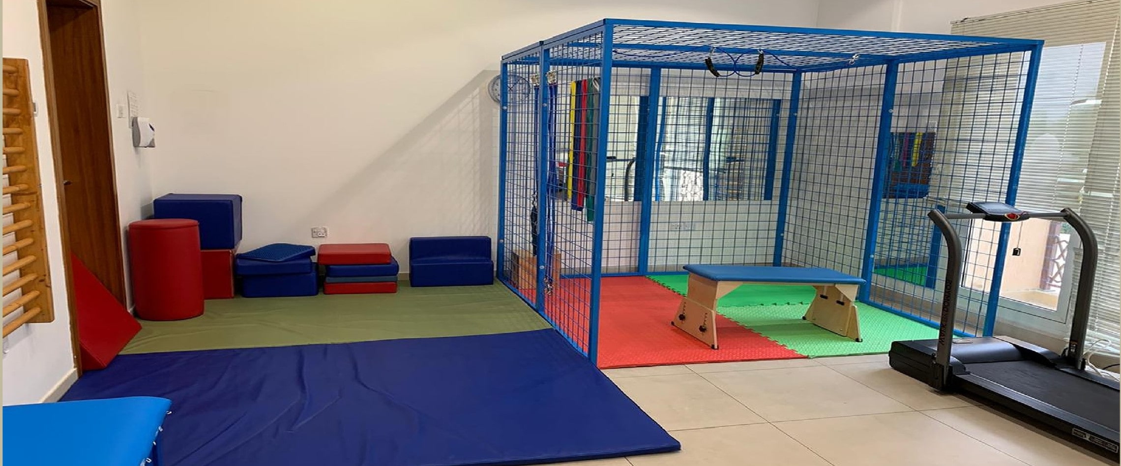 Spider Cage