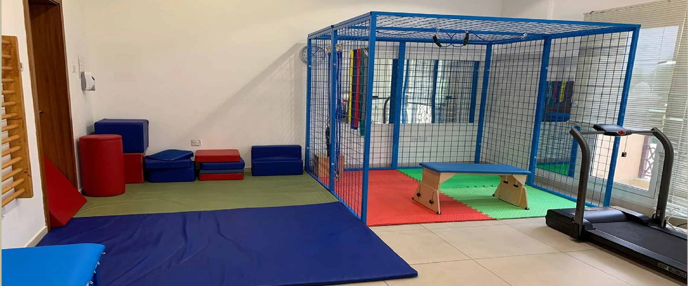 Spider Cage